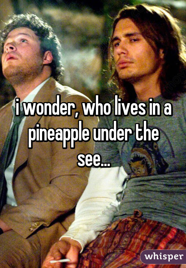 i wonder, who lives in a pineapple under the see...