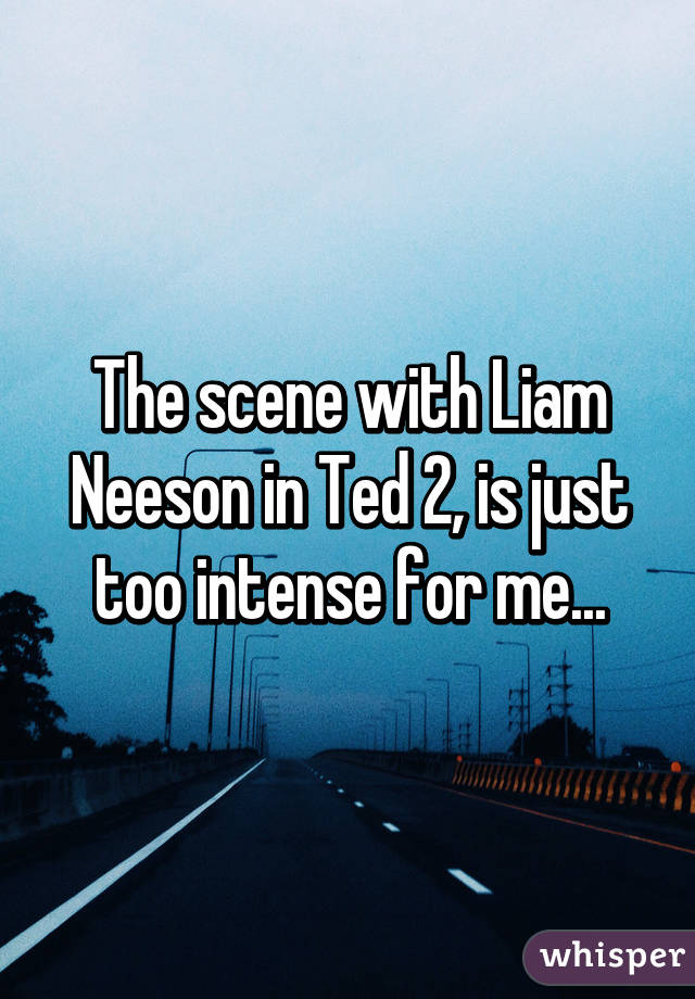 The scene with Liam Neeson in Ted 2, is just too intense for me...