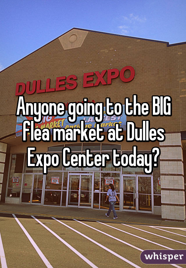 Anyone going to the BIG flea market at Dulles Expo Center today?