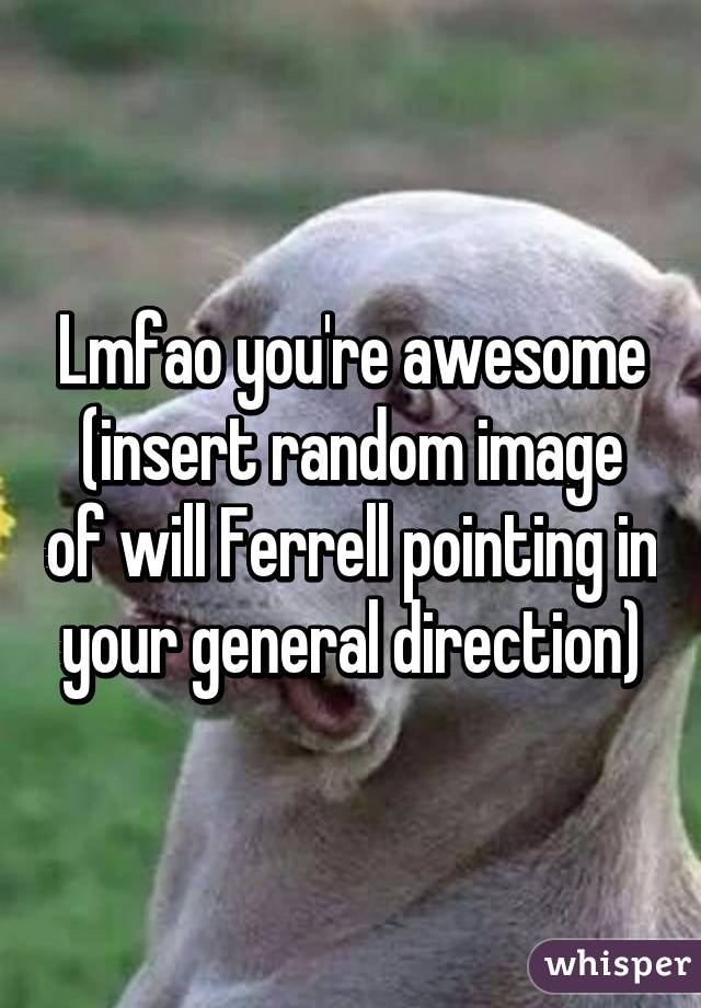 Lmfao you're awesome (insert random image of will Ferrell pointing in your general direction)