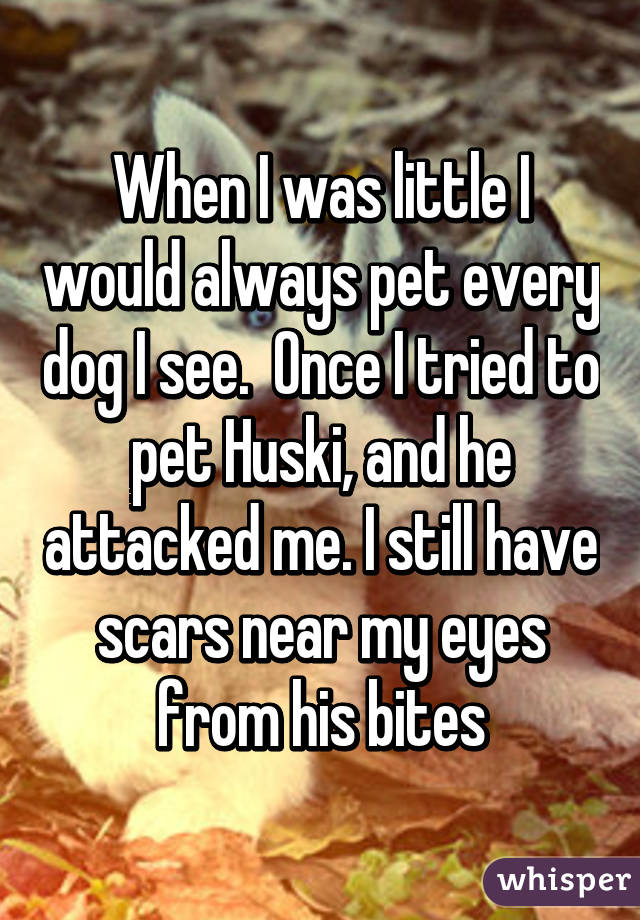 When I was little I would always pet every dog I see.  Once I tried to pet Huski, and he attacked me. I still have scars near my eyes from his bites