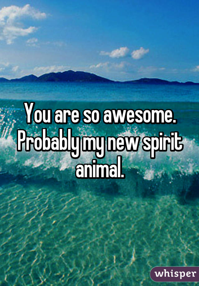 You are so awesome. Probably my new spirit animal.