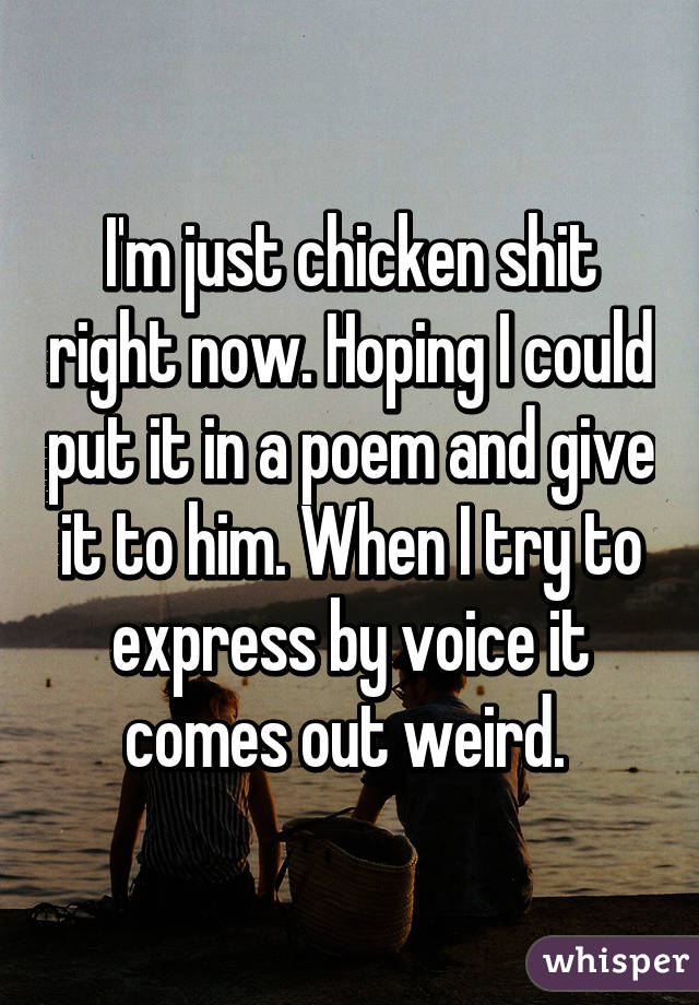 I'm just chicken shit right now. Hoping I could put it in a poem and give it to him. When I try to express by voice it comes out weird. 