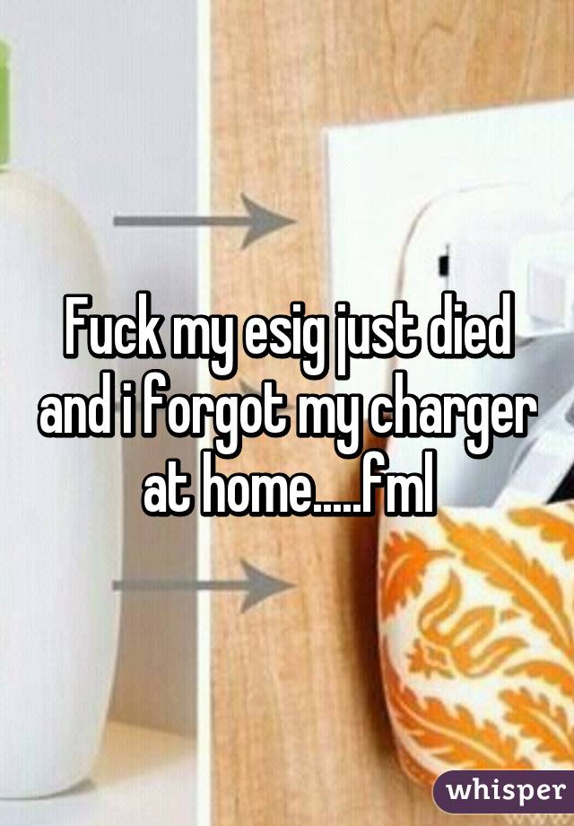 Fuck my esig just died and i forgot my charger at home.....fml