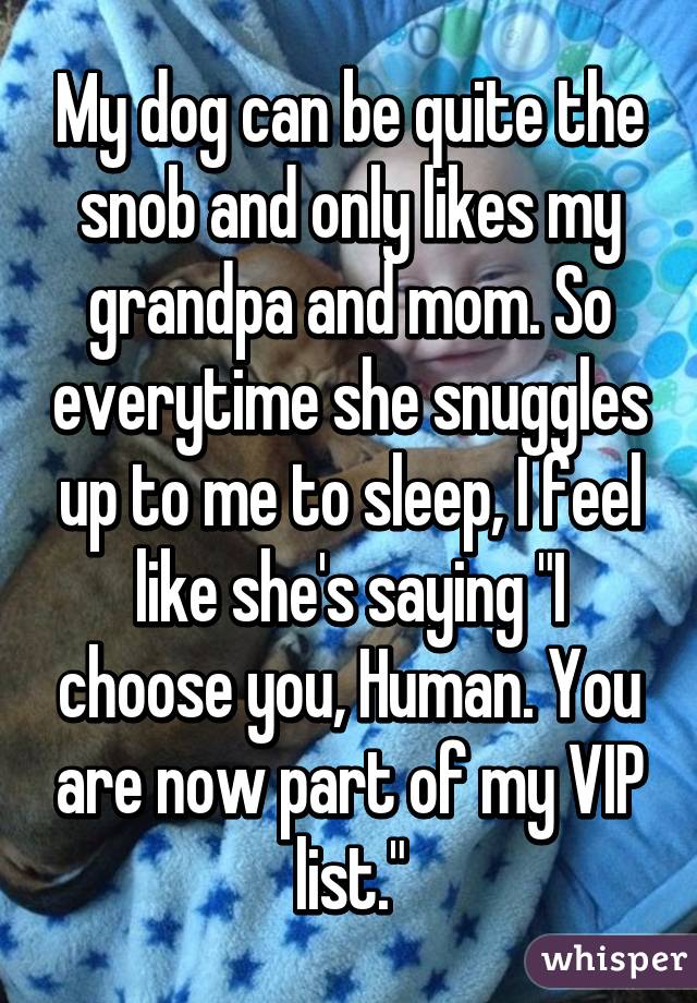 My dog can be quite the snob and only likes my grandpa and mom. So everytime she snuggles up to me to sleep, I feel like she's saying "I choose you, Human. You are now part of my VIP list."