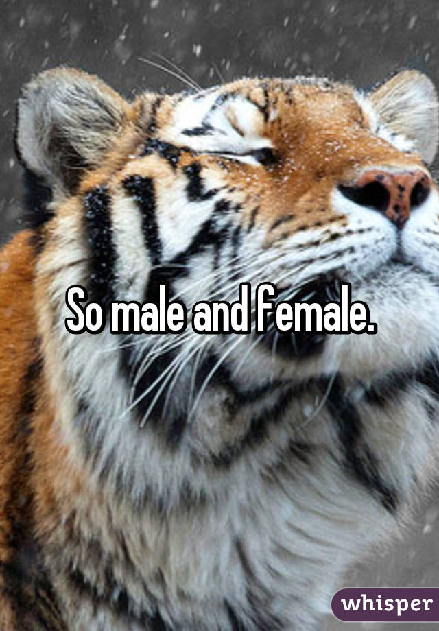 So male and female.