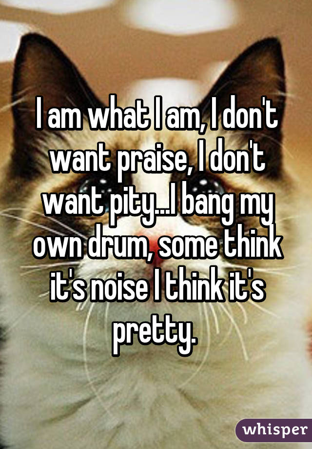 I am what I am, I don't want praise, I don't want pity...I bang my own drum, some think it's noise I think it's pretty. 