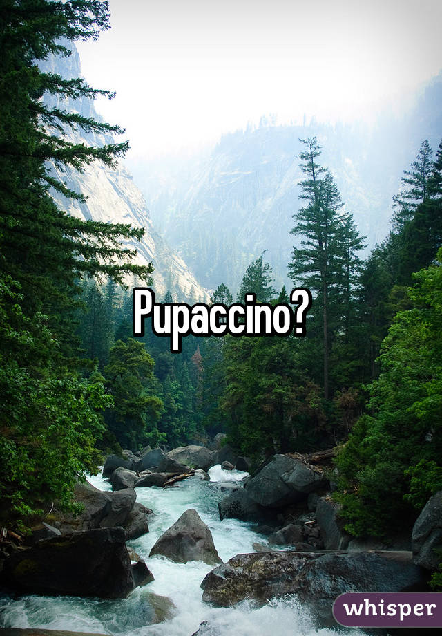 Pupaccino?