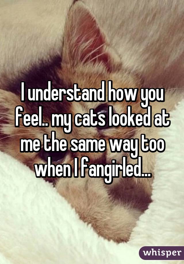 I understand how you feel.. my cats looked at me the same way too when I fangirled...