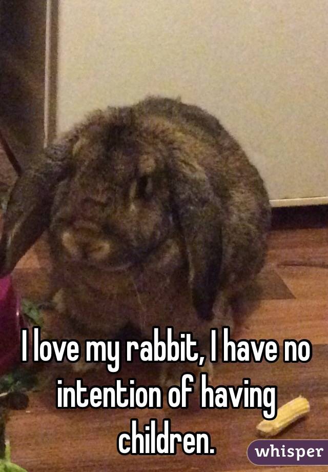 I love my rabbit, I have no intention of having children.