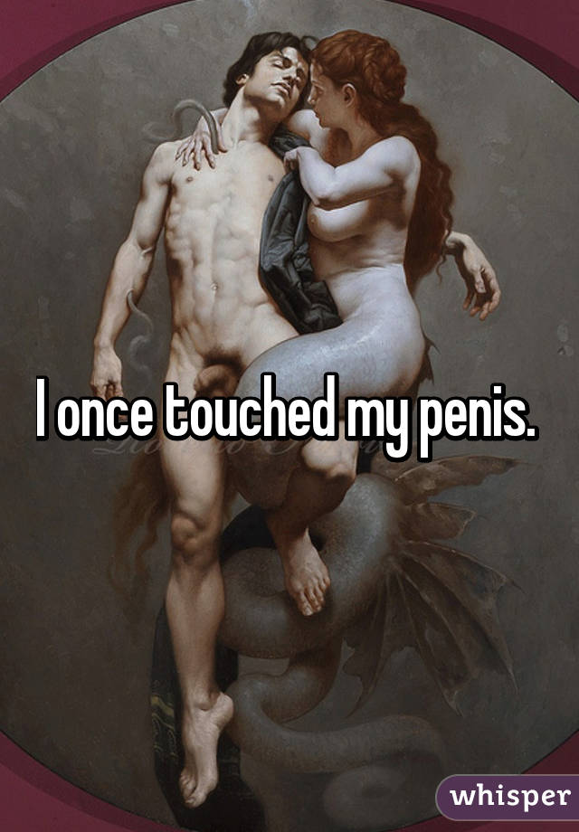 I once touched my penis. 