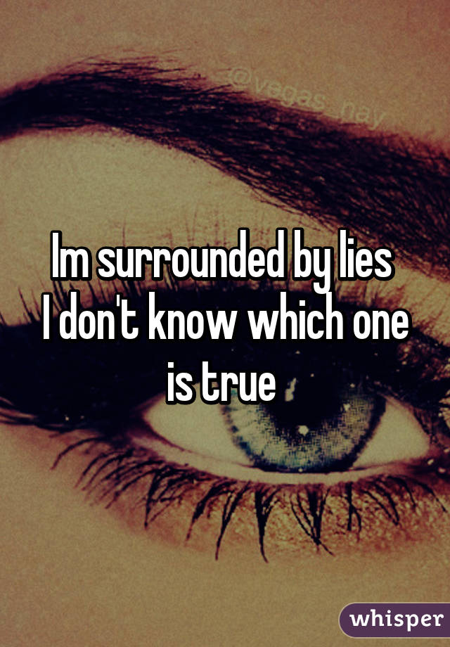 Im surrounded by lies 
I don't know which one is true 