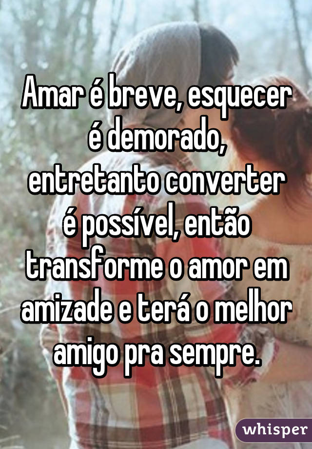 Amar é breve, esquecer é demorado, entretanto converter é possível, então transforme o amor em amizade e terá o melhor amigo pra sempre.