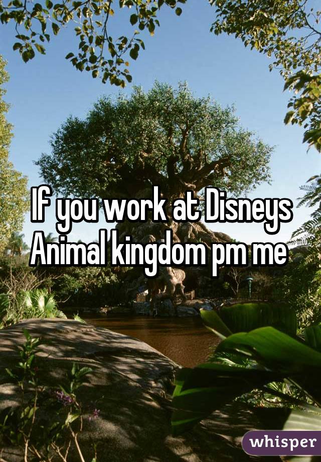 If you work at Disneys Animal kingdom pm me 