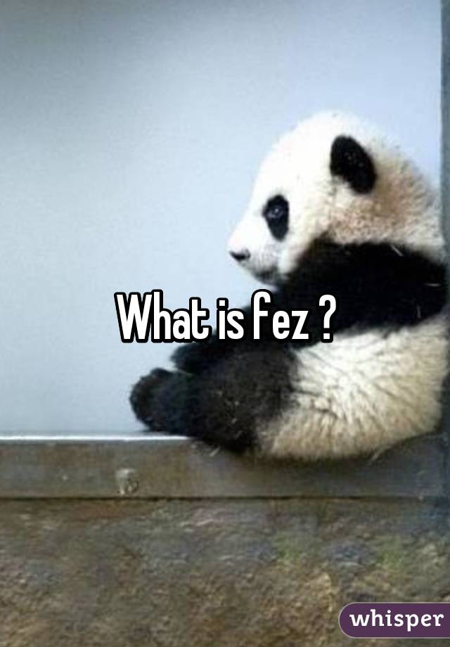 What is fez ?