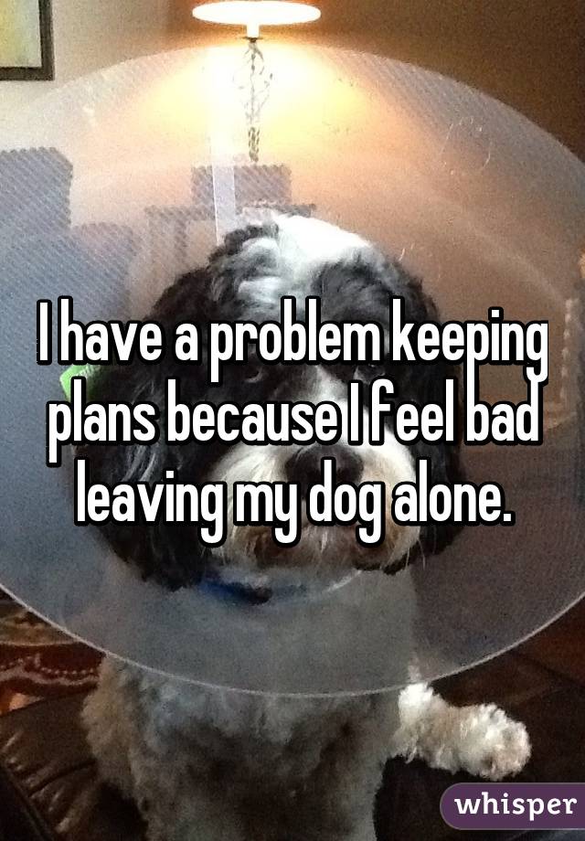 I have a problem keeping plans because I feel bad leaving my dog alone.