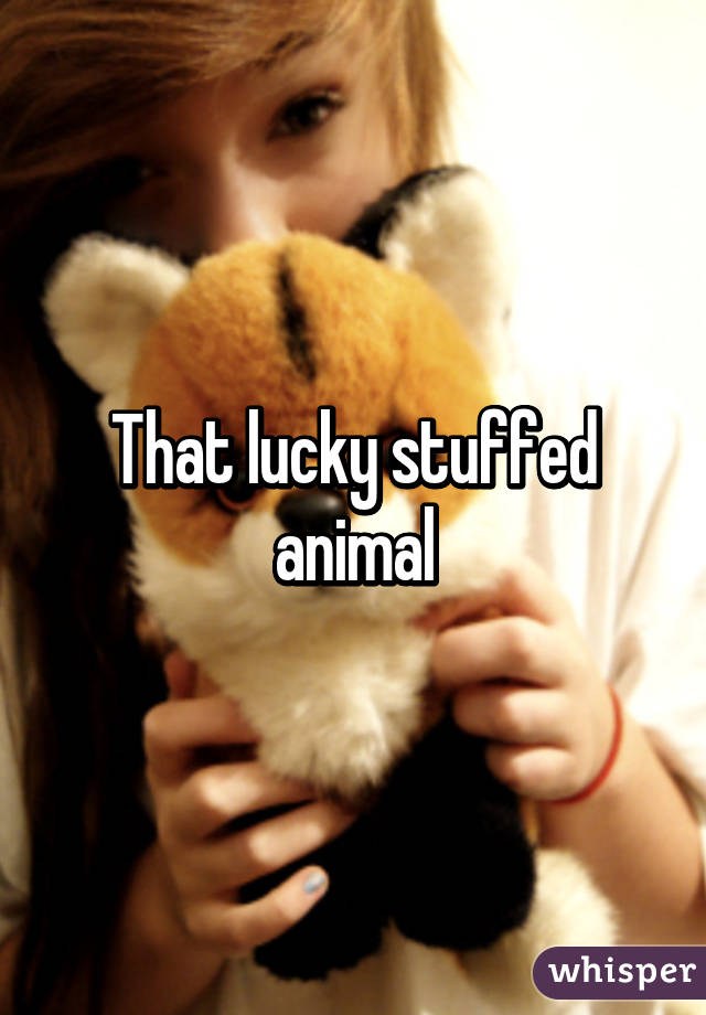 That lucky stuffed animal