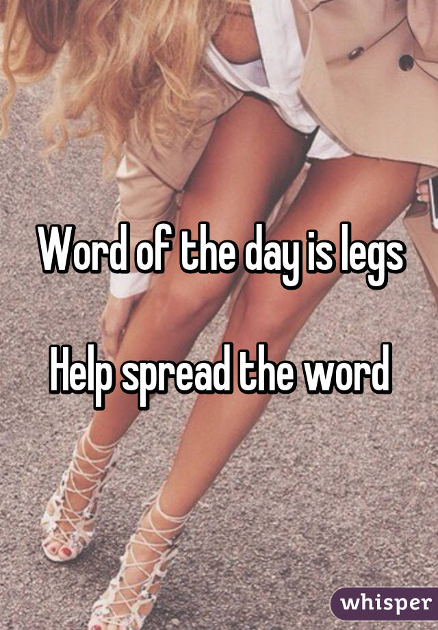 Word of the day is legs

Help spread the word