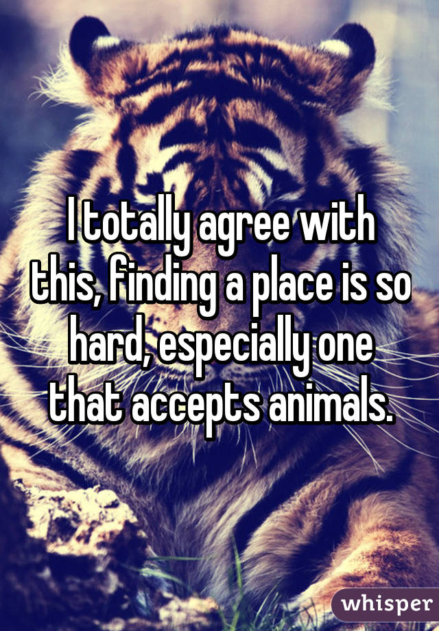 I totally agree with this, finding a place is so hard, especially one that accepts animals.