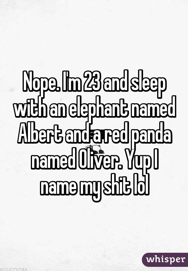 Nope. I'm 23 and sleep with an elephant named Albert and a red panda named Oliver. Yup I name my shit lol