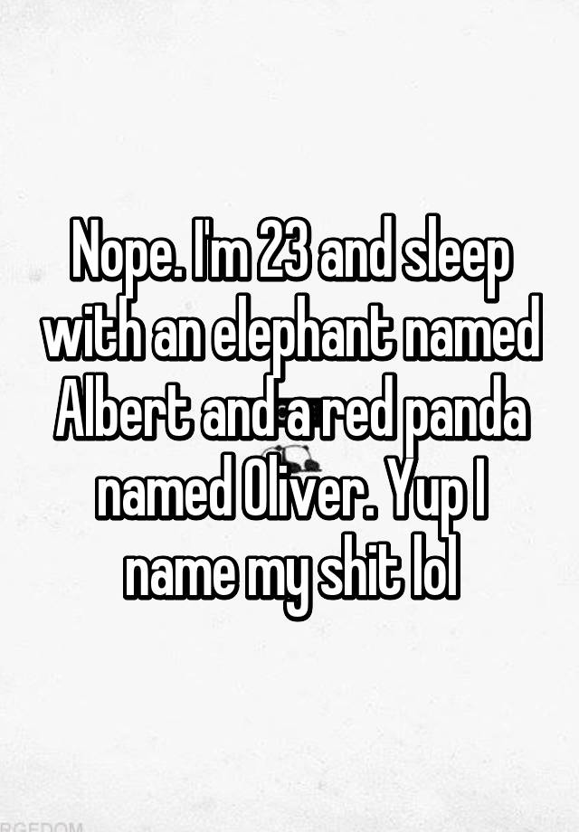 nope-i-m-23-and-sleep-with-an-elephant-named-albert-and-a-red-panda