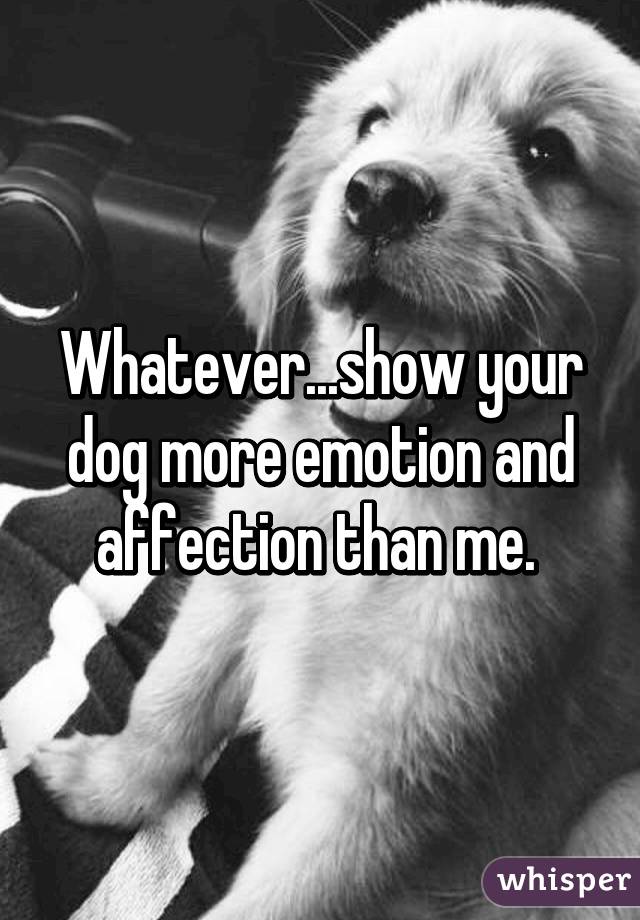 Whatever...show your dog more emotion and affection than me. 