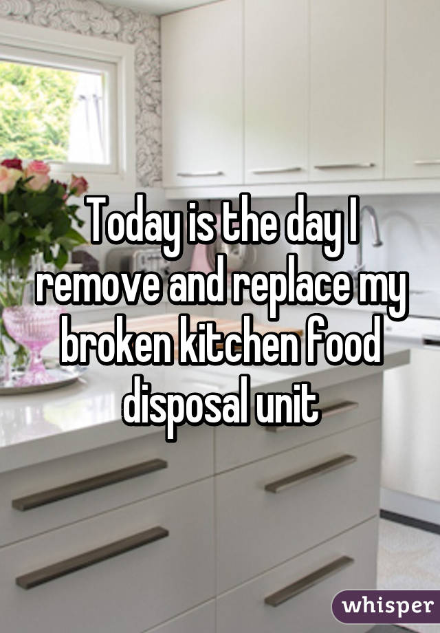 Today is the day I remove and replace my broken kitchen food disposal unit