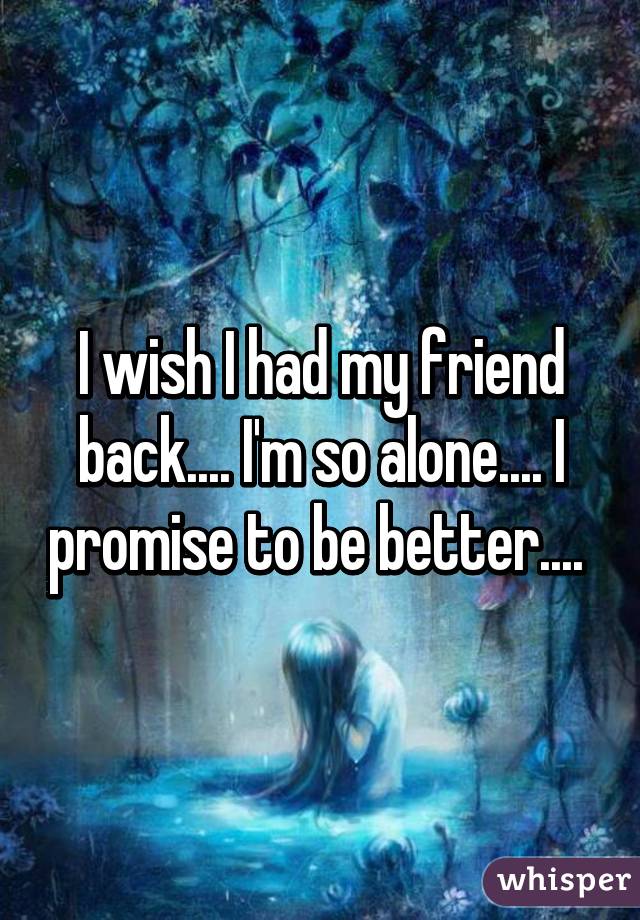 I wish I had my friend back.... I'm so alone.... I promise to be better.... 