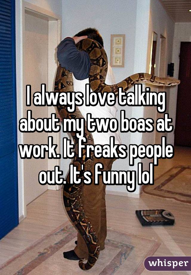 I always love talking about my two boas at work. It freaks people out. It's funny lol