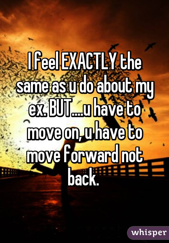 I feel EXACTLY the same as u do about my ex. BUT....u have to move on, u have to move forward not back. 