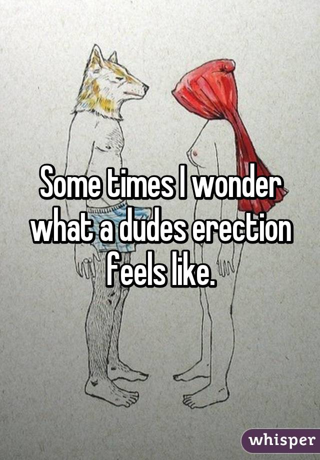 Some times I wonder what a dudes erection feels like.