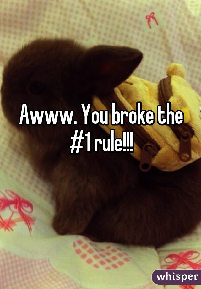 Awww. You broke the #1 rule!!!
