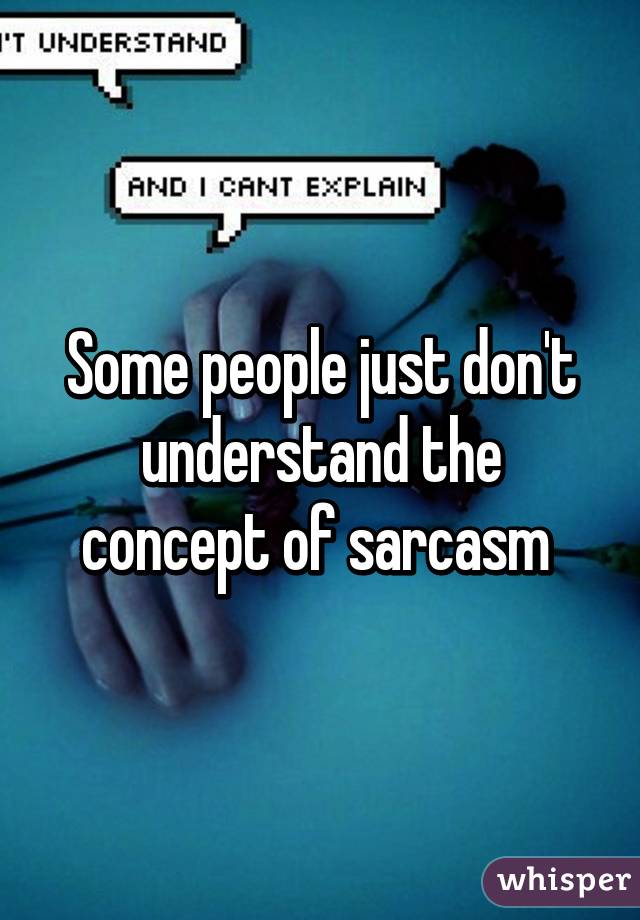 Some people just don't understand the concept of sarcasm 