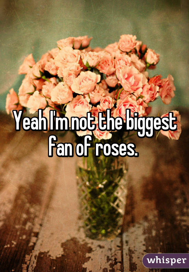 Yeah I'm not the biggest fan of roses. 