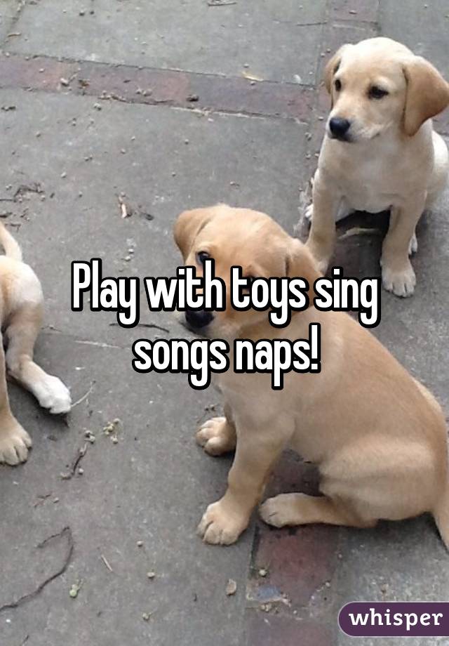 Play with toys sing songs naps!