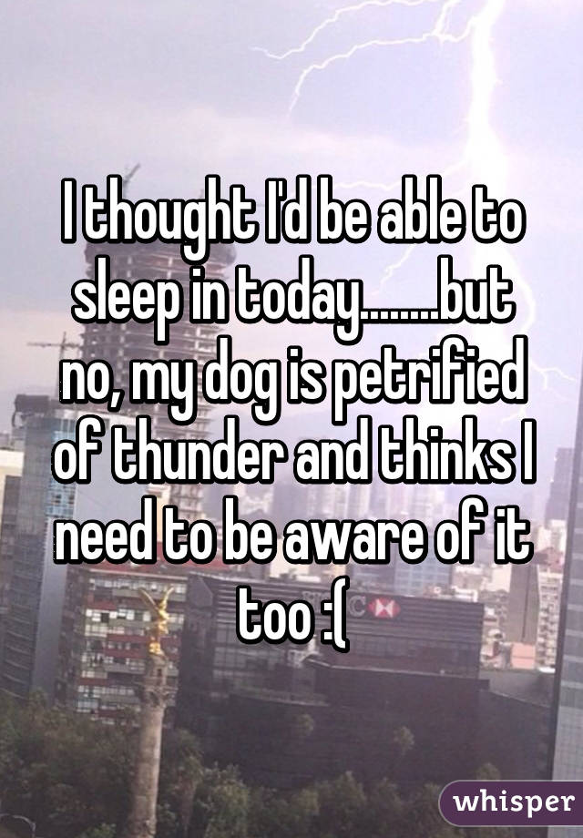 I thought I'd be able to sleep in today........but no, my dog is petrified of thunder and thinks I need to be aware of it too :(