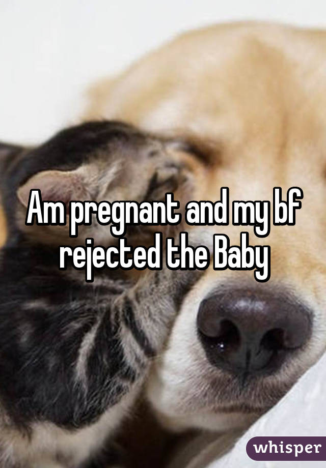 Am pregnant and my bf rejected the Baby