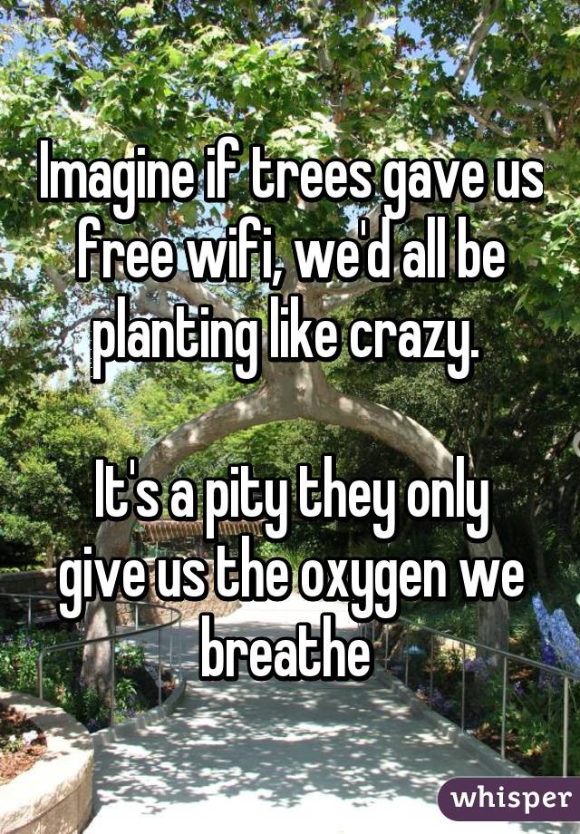 Imagine if trees gave us free wifi, we'd all be planting like crazy. 

It's a pity they only give us the oxygen we breathe 