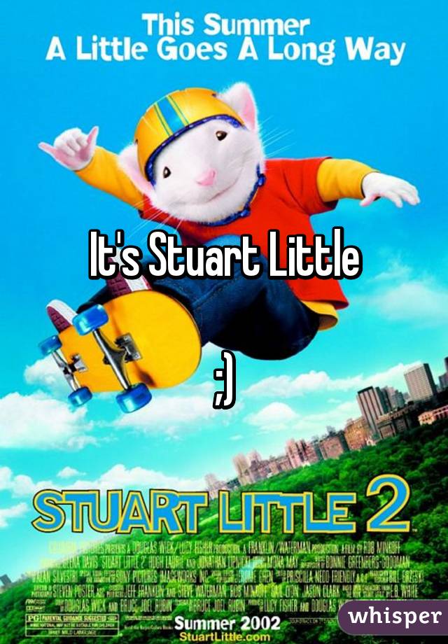 It's Stuart Little

;)