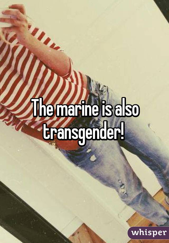 The marine is also transgender! 