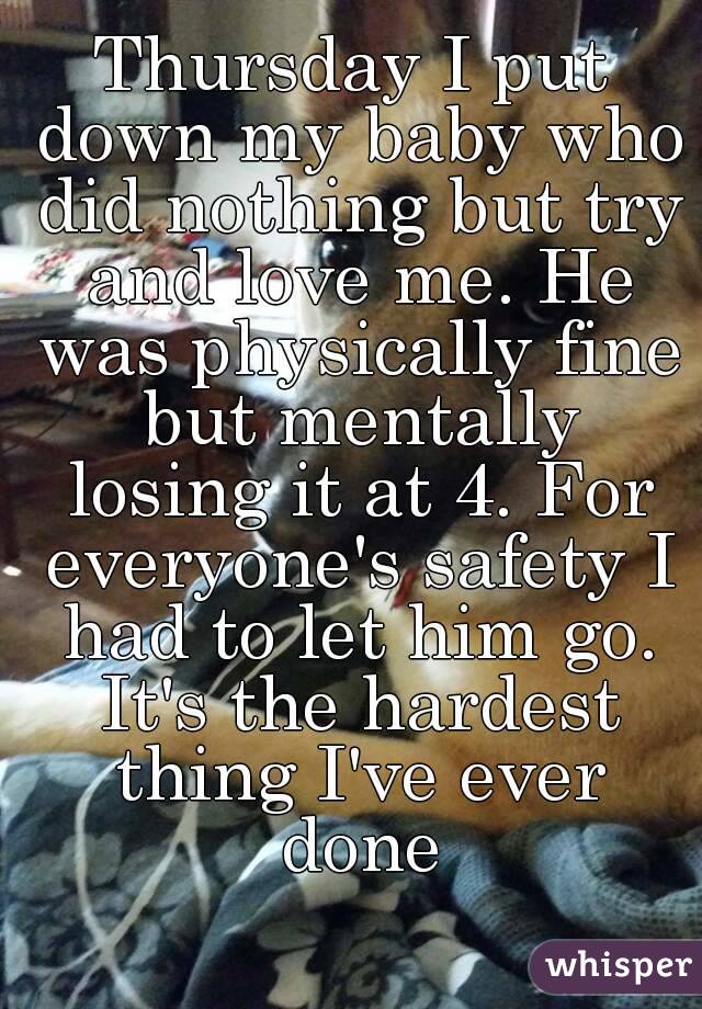 Thursday I put down my baby who did nothing but try and love me. He was physically fine but mentally losing it at 4. For everyone's safety I had to let him go. It's the hardest thing I've ever done