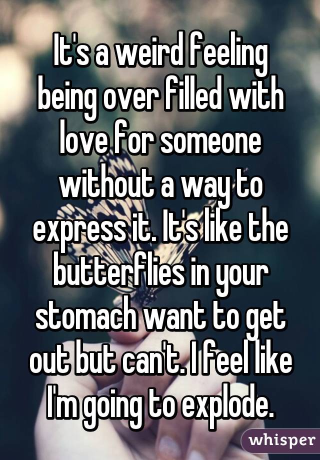 It's a weird feeling being over filled with love for someone without a way to express it. It's like the butterflies in your stomach want to get out but can't. I feel like I'm going to explode.