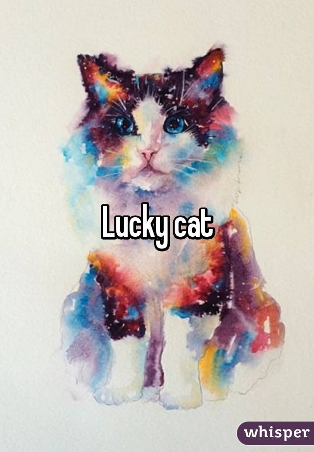 Lucky cat