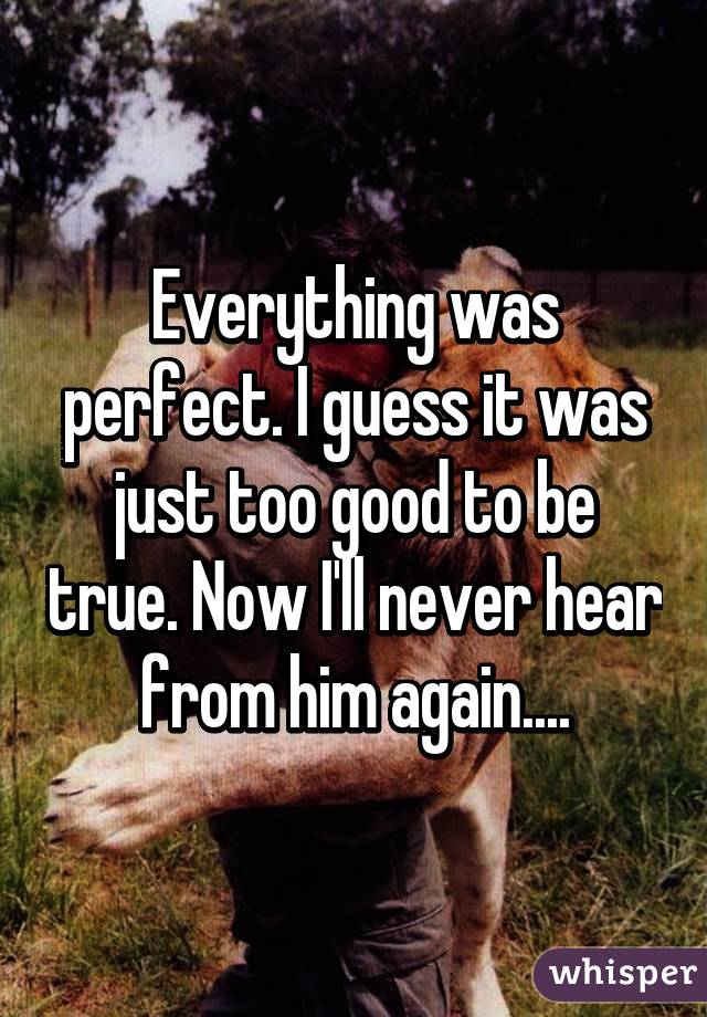 Everything was perfect. I guess it was just too good to be true. Now I'll never hear from him again....