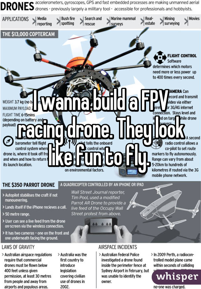 I wanna build a FPV racing drone. They look like fun to fly. 
