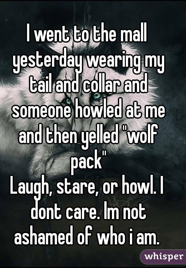 I went to the mall yesterday wearing my tail and collar and someone howled at me and then yelled "wolf pack"
Laugh, stare, or howl. I dont care. Im not ashamed of who i am. 