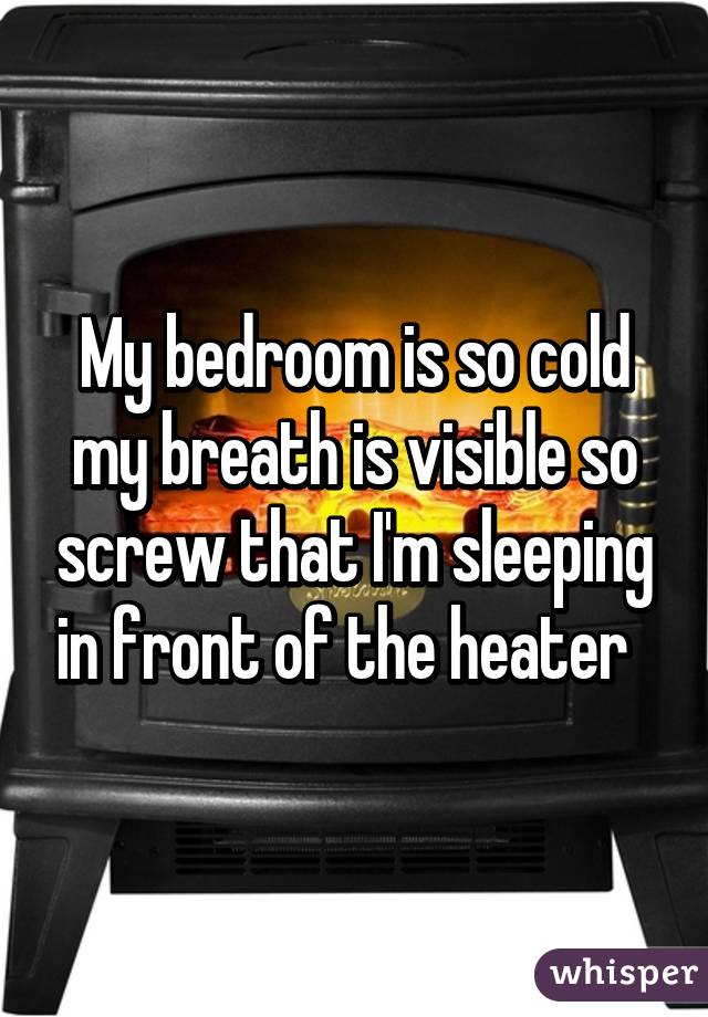 My bedroom is so cold my breath is visible so screw that I'm sleeping in front of the heater  