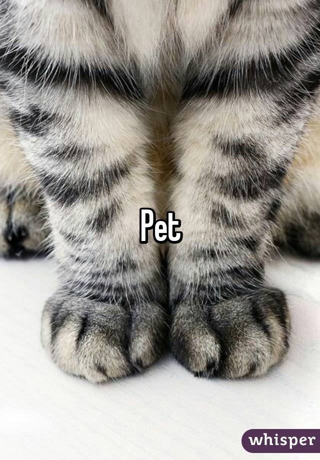 Pet