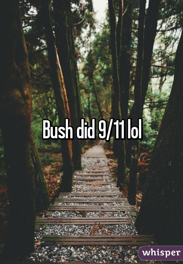 Bush did 9/11 lol