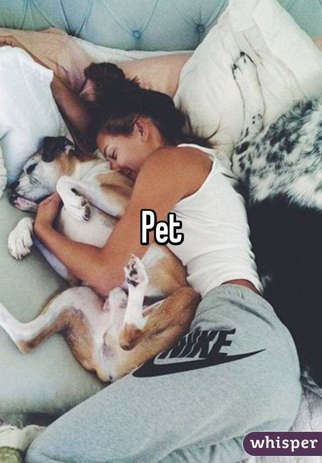 Pet